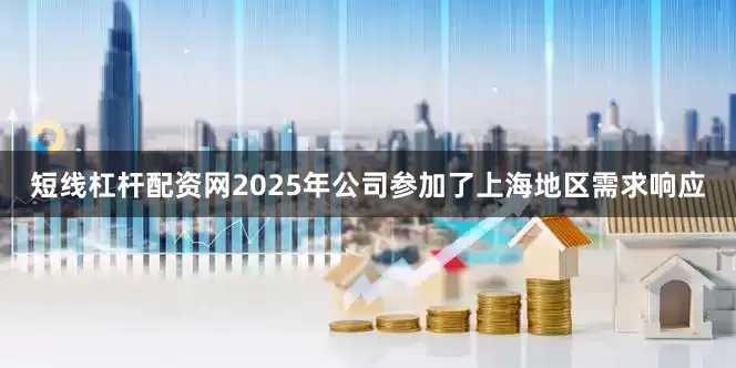 短线杠杆配资网2025年公司参加了上海地区需求响应