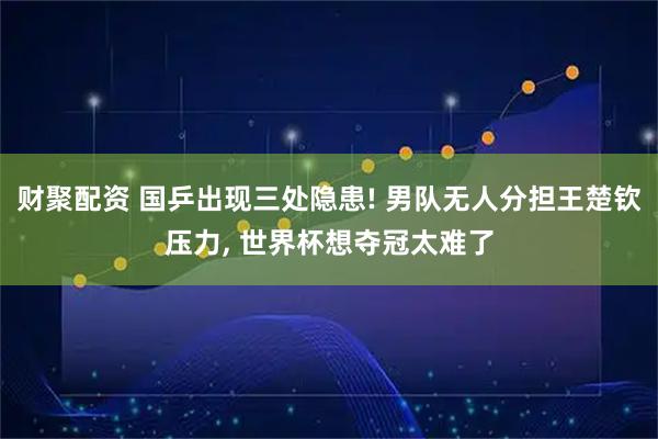 财聚配资 国乒出现三处隐患! 男队无人分担王楚钦压力, 世界杯想夺冠太难了