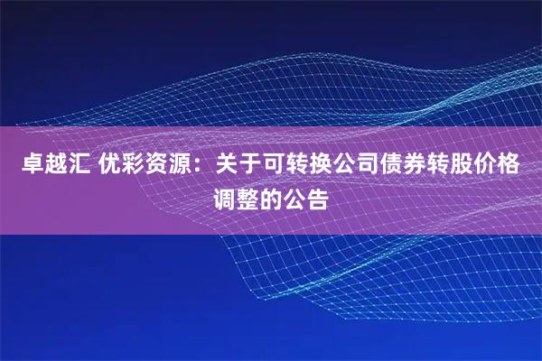 卓越汇 优彩资源：关于可转换公司债券转股价格调整的公告